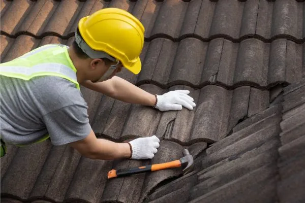 Roofing Expert